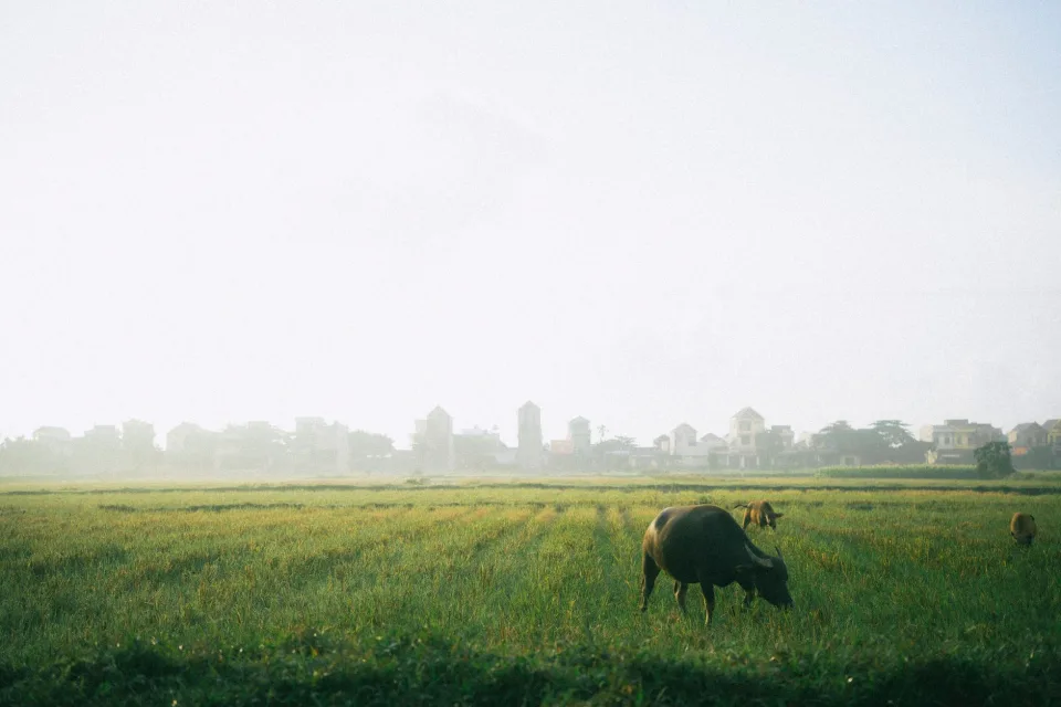 Kho gạo của Trương Thị Liên